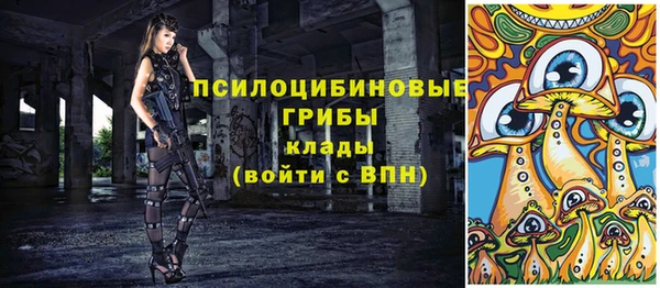 твердый Вяземский