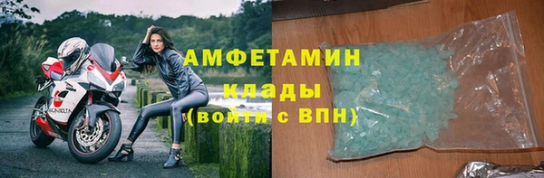 твердый Вяземский
