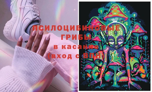 стаф Волоколамск