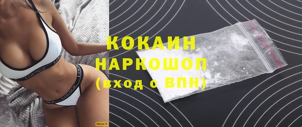 твердый Вяземский