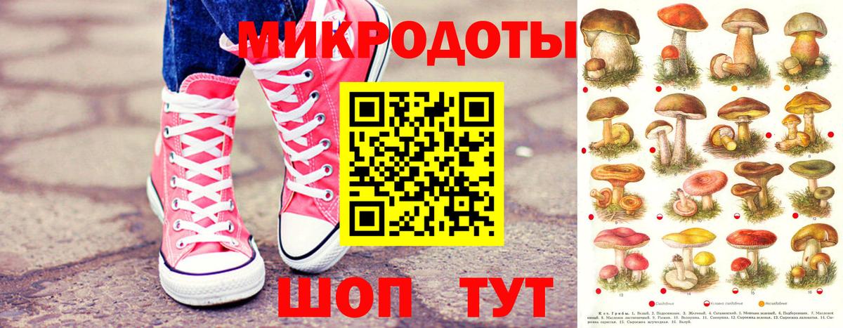 Галлюциногенные грибы GOLDEN TEACHER  сколько стоит  Медногорск  Вход с VPN 