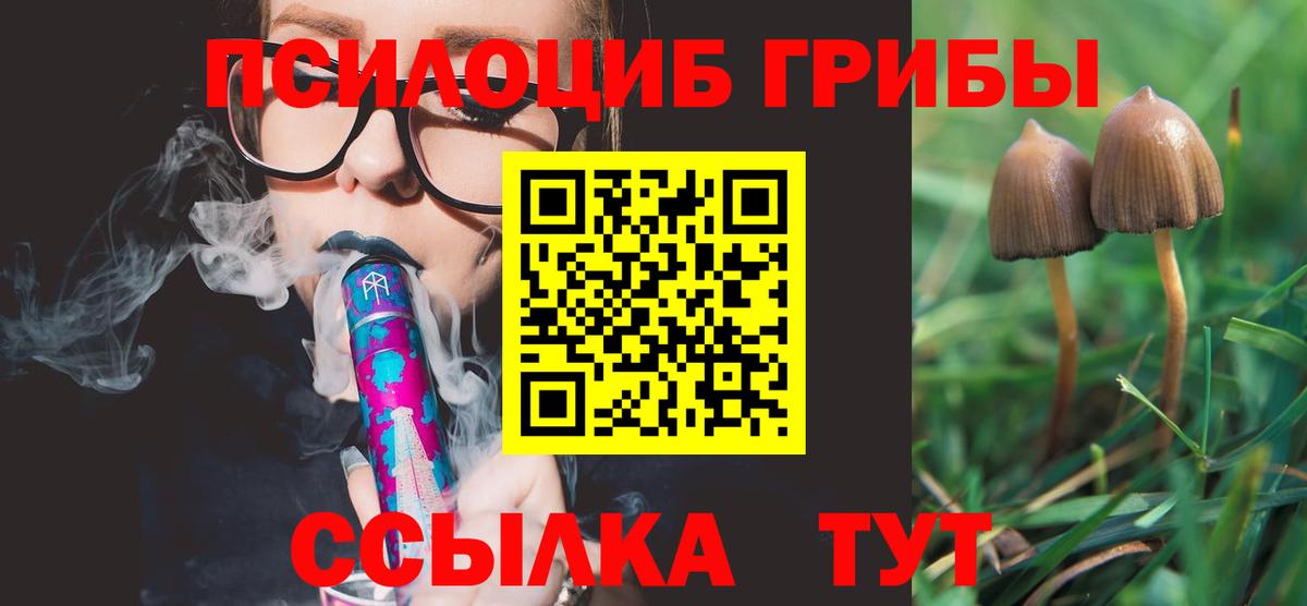 Галлюциногенные грибы GOLDEN TEACHER Медногорск